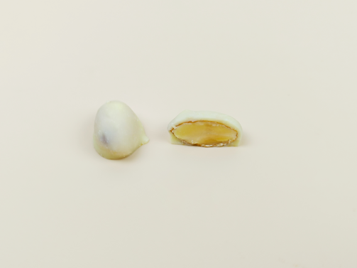 Grace White Chocolate and Almond Pieces